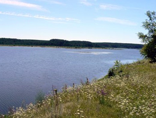 В Переволоцком районе в реке Урал обнаружено тело 7-летнего мальчика